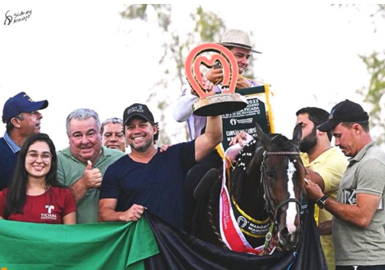 HARAS TORQUE – GRAVATÁ/PE